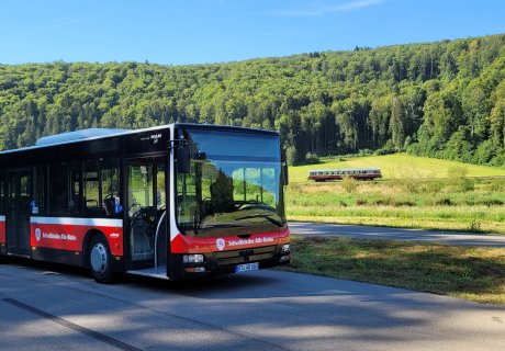 Ersatzbus und NE81 Triebwagen