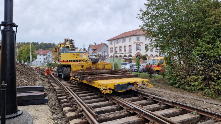 Weichenumbau im Bf Münsingen